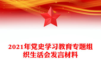 2021年黨史學習教育專題組織生活會發言材料