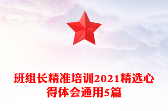 班組長精準(zhǔn)培訓(xùn)2021精選心得體會(huì)通用5篇
