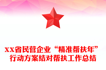 XX省民營(yíng)企業(yè)“精準(zhǔn)幫扶年”行動(dòng)方案結(jié)對(duì)幫扶工作總結(jié)