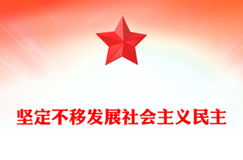 堅(jiān)定不移發(fā)展社會(huì)主義民主