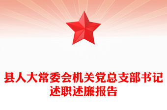 2025對黨總支述職后的評議報告