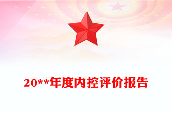20**年度內控評價報告