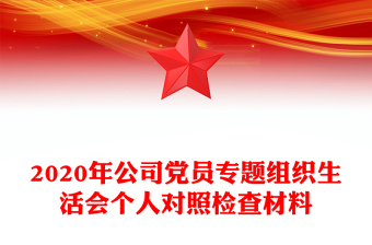 2020年公司黨員專題組織生活會(huì)個(gè)人對(duì)照檢查材料