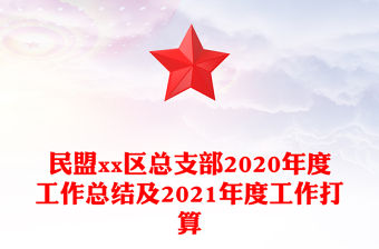 民盟xx區總支部2020年度工作總結及2021年度工作打算