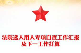 法院選人用人專項自查工作匯報及下一工作打算