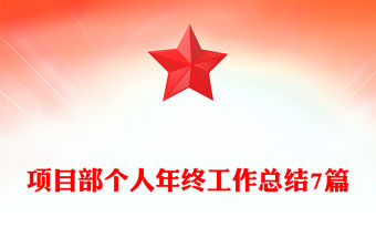 項目部個人年終工作總結7篇