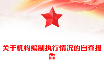 關(guān)于機構(gòu)編制執(zhí)行情況的自查報告