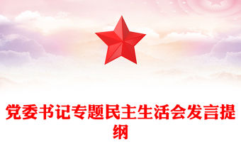 黨委書記專題民主生活會發(fā)言提綱