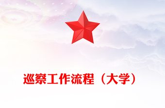 巡察工作流程(大學(xué))