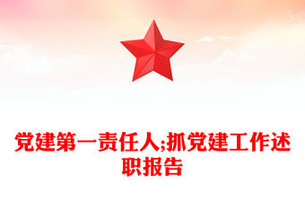 黨建第一責任人;抓黨建工作述職報告