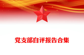 黨支部自評報告合集