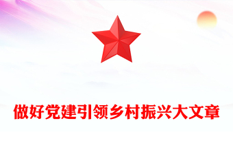 做好黨建引領鄉(xiāng)村振興大文章