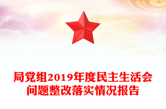 局黨組2019年度民主生活會(huì)問(wèn)題整改落實(shí)情況報(bào)告