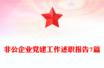 非公企業(yè)黨建工作述職報(bào)告7篇