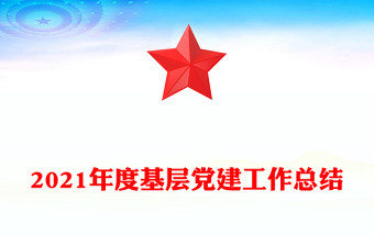 2021年度基層黨建工作總結(jié)