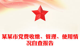 某某市黨費收繳、管理、使用情況自查報告