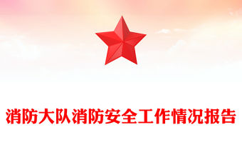 消防大隊消防安全工作情況報告