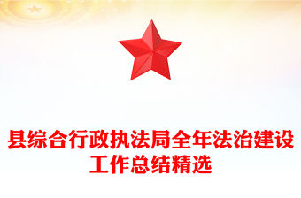 縣綜合行政執法局全年法治建設工作總結精選