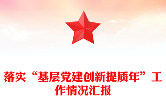 落實“基層黨建創(chuàng)新提質(zhì)年”工作情況匯報