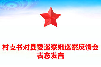 村支書對縣委巡察組巡察反饋會表態發言