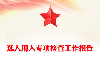選人用人專項檢查工作報告