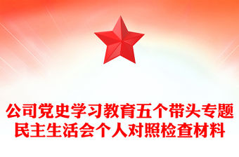 公司黨史學習教育五個帶頭專題民主生活會個人對照檢查材料