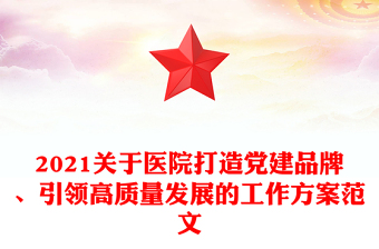 2021關(guān)于醫(yī)院打造黨建品牌、引領(lǐng)高質(zhì)量發(fā)展的工作方案范文