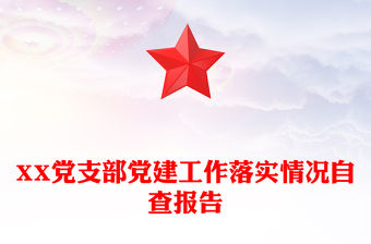 XX黨支部黨建工作落實情況自查報告