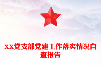 XX黨支部黨建工作落實情況自查報告
