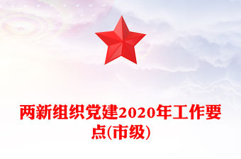 兩新組織黨建2020年工作要點(市級)