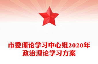 市委理論學習中心組2020年政治理論學習方案
