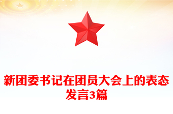 新團(tuán)委書(shū)記在團(tuán)員大會(huì)上的表態(tài)發(fā)言3篇