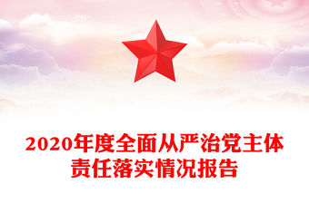 2020年度全面從嚴治黨主體責任落實情況報告