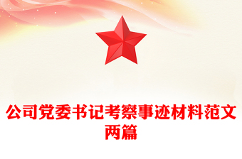 公司黨委書記考察事跡材料范文兩篇