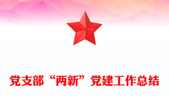 黨支部“兩新”黨建工作總結