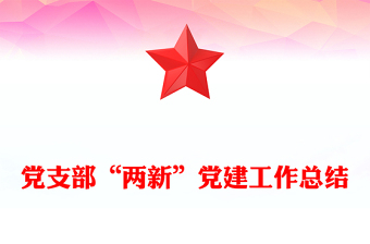 黨支部“兩新”黨建工作總結(jié)