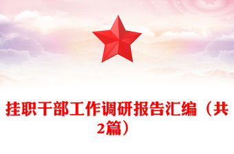 掛職干部工作調(diào)研報告匯編（共2篇）