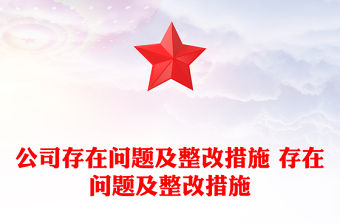 公司存在問題及整改措施 存在問題及整改措施