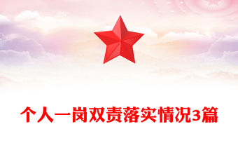 個人一崗雙責落實情況3篇