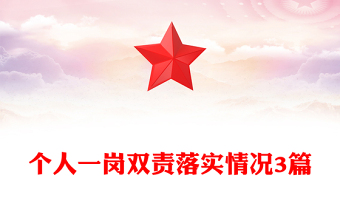 個人一崗雙責落實情況3篇