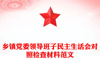 鄉鎮黨委領導班子民主生活會對照檢查材料范文