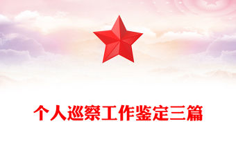 個人巡察工作鑒定三篇