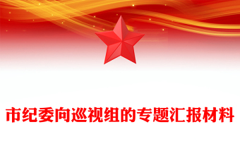 市紀委向巡視組的專題匯報材料