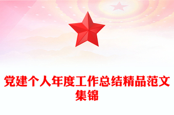 黨建個(gè)人年度工作總結(jié)精品范文集錦