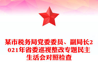 某市稅務局黨委委員、副局長2021年省委巡視整改專題民主生活會對照檢查