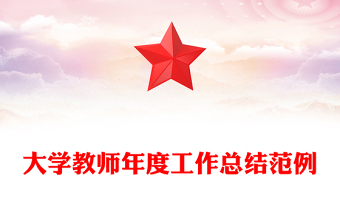 大學(xué)教師年度工作總結(jié)范例