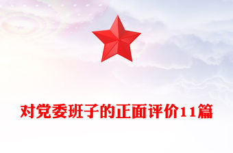 對黨委班子的正面評價11篇