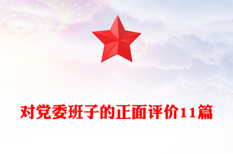 對黨委班子的正面評價11篇