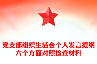 黨支部組織生活會個人發(fā)言提綱六個方面對照檢查材料