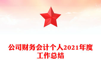 公司財務會計個人2021年度工作總結